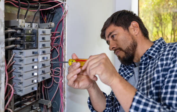 Best Home Electrical Repair  in Presidio, TX